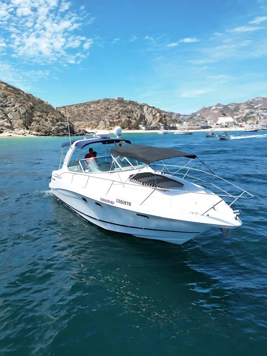 Your Own 40ft Private Yacht in Cabo – Snorkeling, Crew & Open Bar!