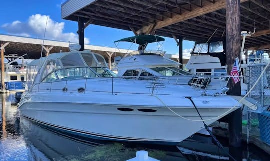 Navega por el lago con estilo: Searay Sundancer de 36' 