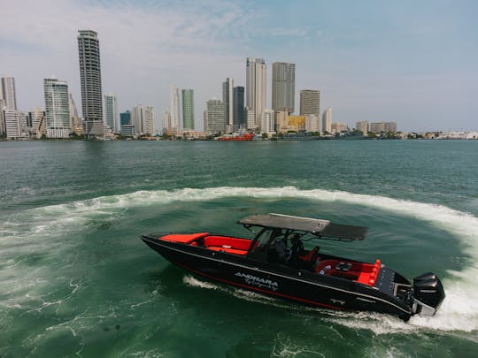 Rent a Exclusive Private Boat 38FT For 15 People in Cartagena