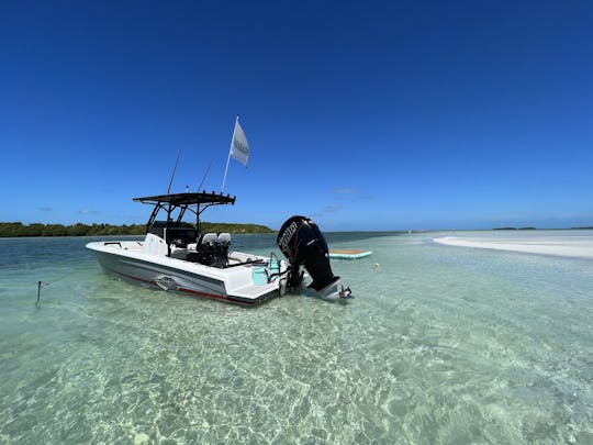 Alquiler de Sandbar y recorrido por la isla