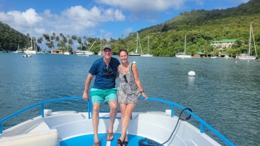 Full Day Private Soufriere Charter