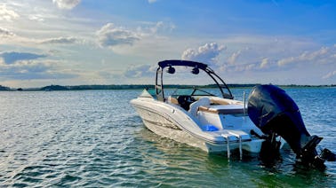 2017 Sea Ray SPX 210 Bowrider in Orlando, Florida