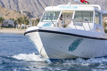 Avistamiento exclusivo de delfines en Silvercraft 36CC en Muscat, Omán