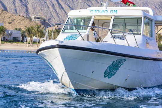 Exclusive Dolphin Watching on Silvercraft 36CC in Muscat, Oman