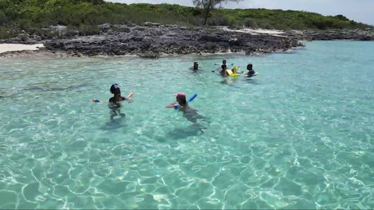 Glass Bottom Boat Snorkel Adventures & Pig Beach in Bahamas