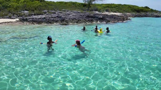 Glass Bottom Boat Snorkel Adventures & Pig Beach in Bahamas