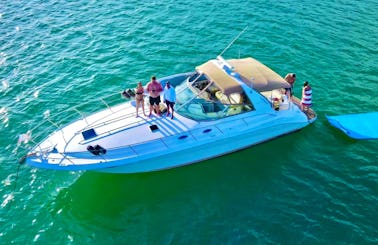 44' SeaRay in HAULOVER - $100 OFF from Mondays-Fridays!!