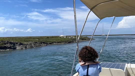 Algarve Eco Boat Trip in Ria Formosa from Faro