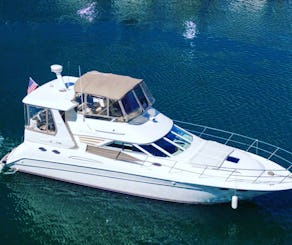 Paint, party and yacht with us! Climb aboard the 45ft Sea Ray 