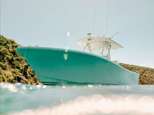 Día completo de viaje de isla en isla con barco regulador de 34 pies en St. John, Islas Vírgenes de los Estados Unidos