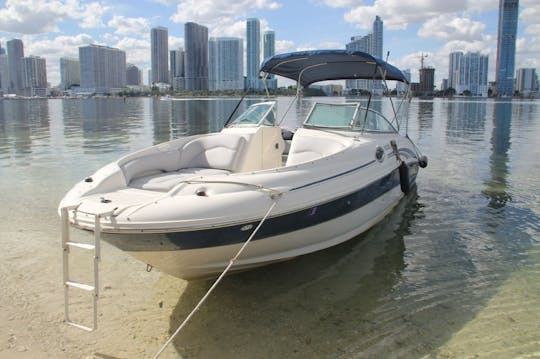 26' ¡Searay Sundeck en Miami, Florida!