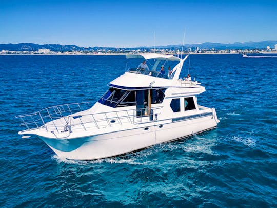 Beautiful 56’ Luxury Yacht with Stabilizers and Huge Flybridge