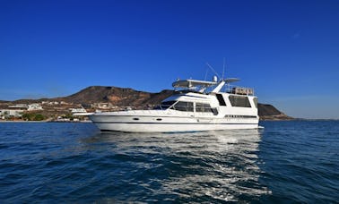 SORIANO, Unique Dyna Craft 60ft Yacht made for you.