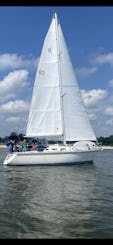 Sailing Adventures on the Choptank River