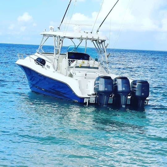 30’ Hydra for your perfect day! 