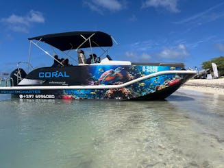 Esnórquel privado de lujo en Aruba - Bayliner Element XR7