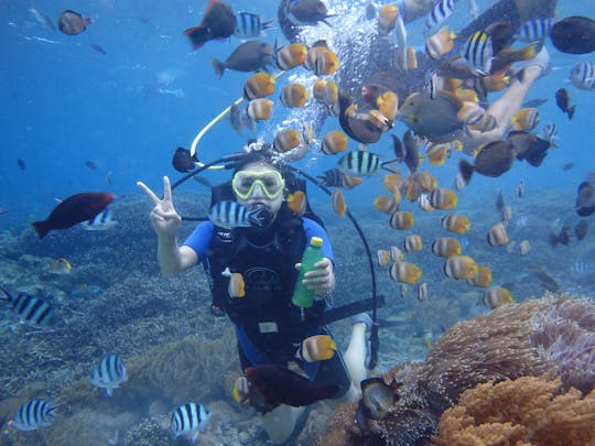 3 spot poin Snorkeling with manta rays