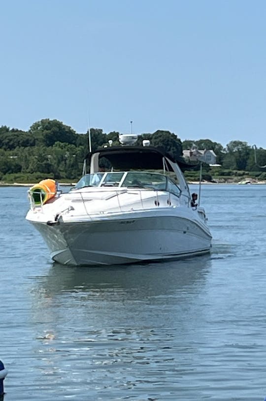 Beautiful Sundancer 340 in Sag Harbor