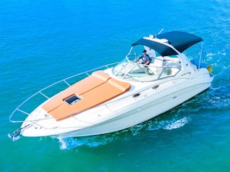  36フィートサンダンサーヨット — 壮大なマイアミアドベンチャーが待っています!🌊☀️