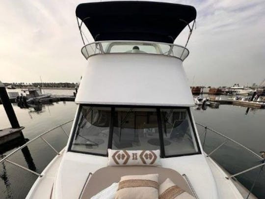 41ft Adagio Motor Yacht (12 Pax)