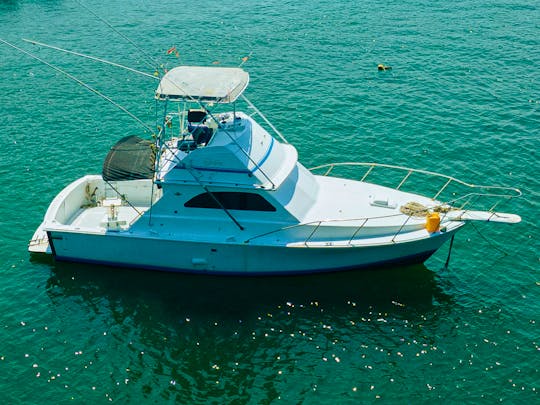 Custom 35 ft Yacht and Sportfishing Charter