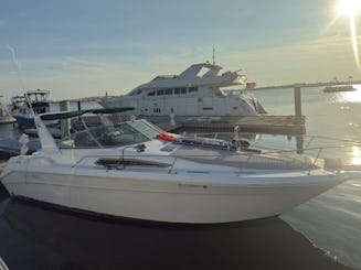 34ft Sea Ray Motor Yacht in Boston