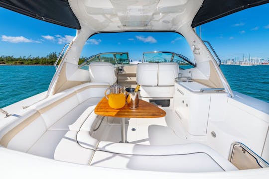 2020 35' Searay  w/ captain snorkeling dog friendly pick up @ Miami Beach Marina