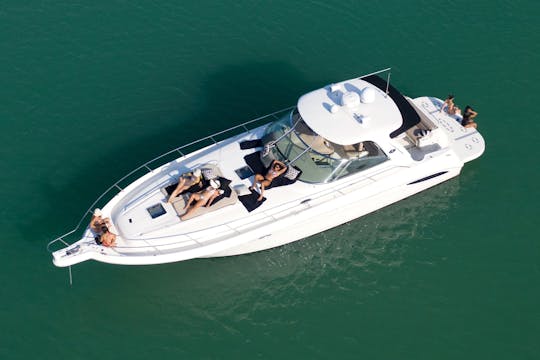 50' Sea Ray à South Beach