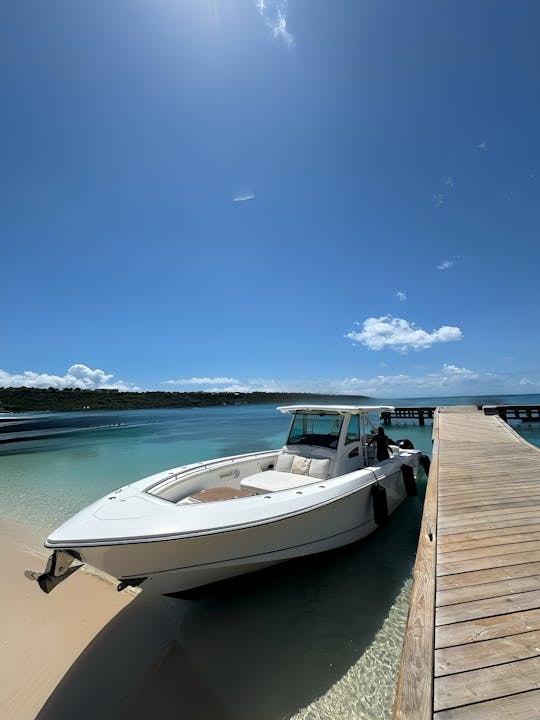 BOSTON WHALER ULTIMATE I, 38 pies