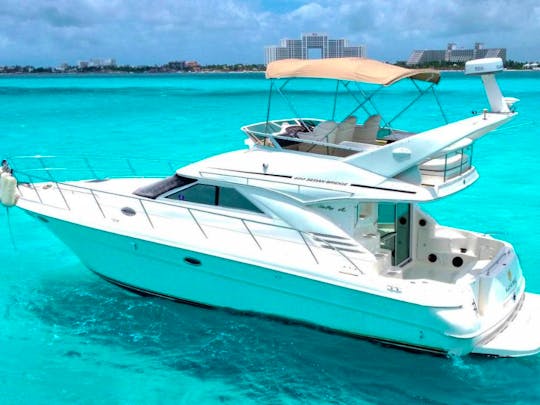 Sea Ray 43ft Fly Bridge Luxury Yacht for Charter in Cancun, Mexico
