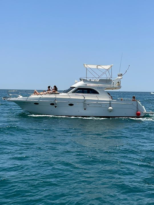 Yacht in Marbella Sighting dolphins