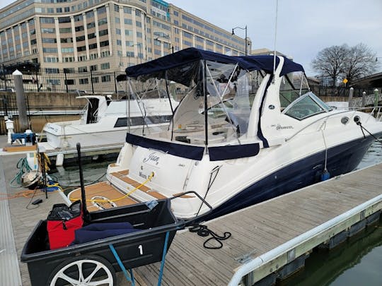 Sea Ray Sundancer 35' Profitez d'un voyage à bord de notre yacht DMV de luxe !