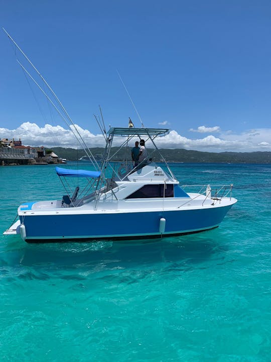 Carta de pesca Chris Craft de 32 pés