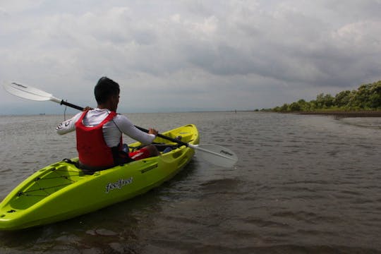 Kayaking Rental by Discovery Center, Kep West