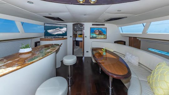 Custom 650 Catamaran