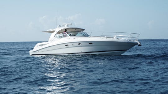 Sea ray 42 in Country House