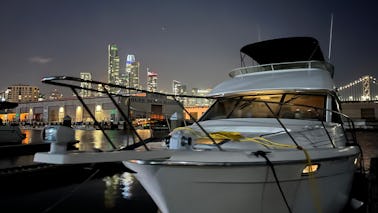 Comfortable cruiser on San Francisco Bay