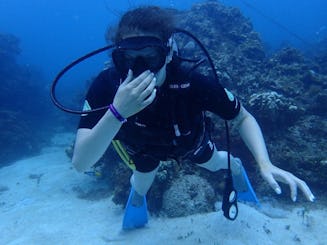 2 Tank Scuba Diving Negril Jamaica Certified Divers