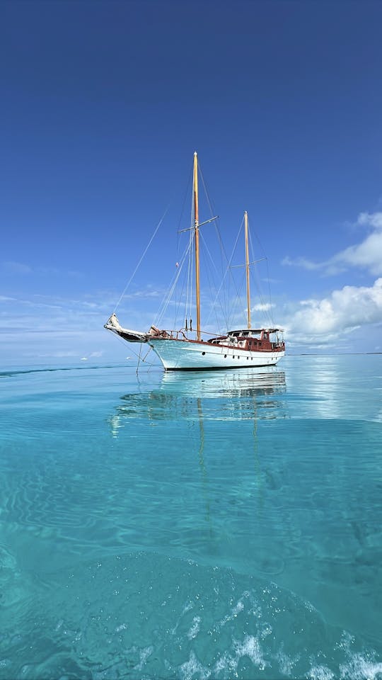 Ultimate Sailing Adventure