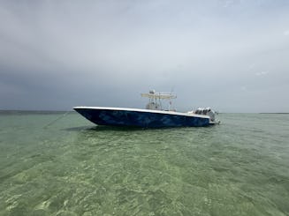 Contender de 36 minutes — Triple 350, banc de sable, plongée avec tuba, course à Key West