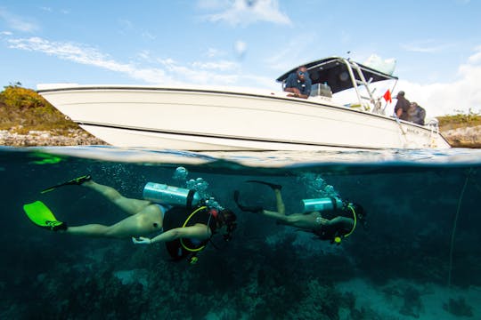 Nassau : aventure privée de plongée sous-marine 