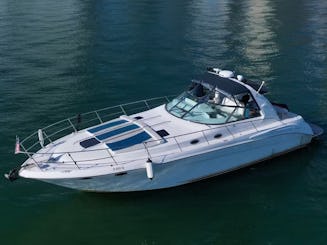 ¡Disfrute de Miami en el yate a motor Sundancer de 44 pies!