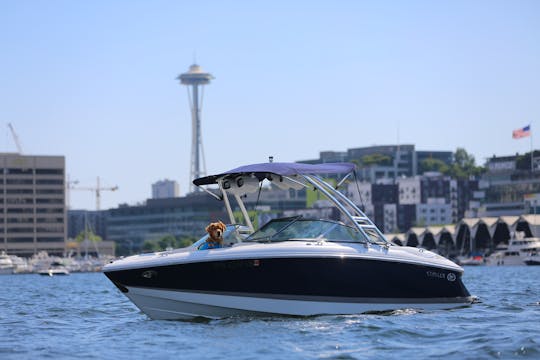 Dash the Lake in our Premium Cobalt Bowrider! Hassle-free refueling!