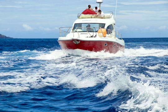Starfisher 34 Motor Yacht trips for Snorkeling, Fishing, and More!
