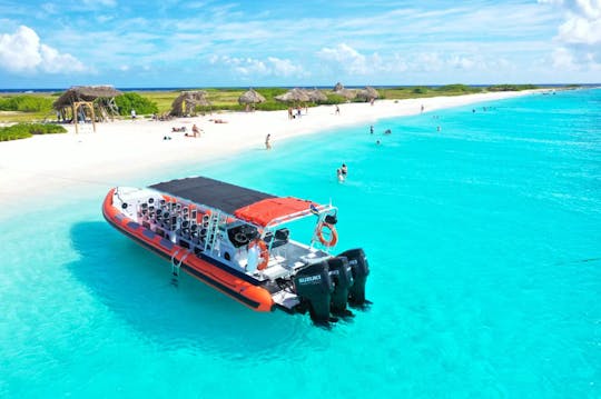 Adrenaline experience! Charter 40ft Powerboat RIB in Curaçao (max. 18 pax)