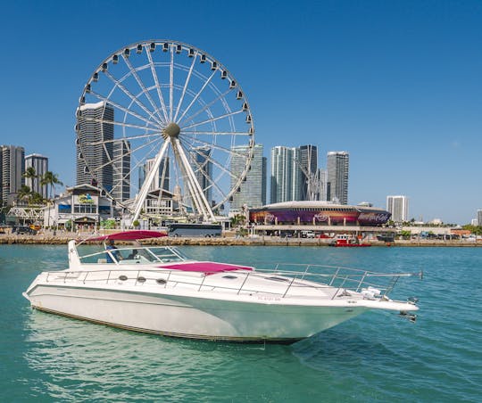 Profitez de Miami à bord d'un confortable yacht Sea Ray Sundancer de 50 pieds