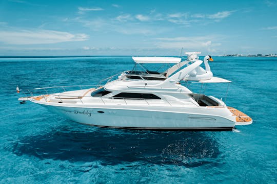 Belo iate a motor Sea Ray de 50 pés Flybridge