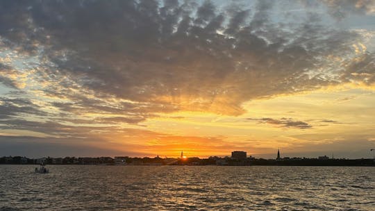 Crucero público con cócteles al atardecer de 1,5 horas; puerto de Charleston; baño y sombra