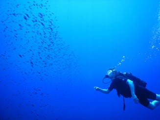 Excursions de plongée et cours de plongée sous-marine à Poli Crysochous