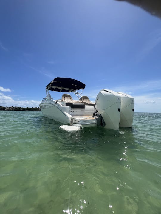 Enjoy a day in Miami aboard our Sea Ray 29ft